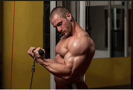 Good Bicep Exercises-For Beginners