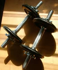 dumbbell leg exercises