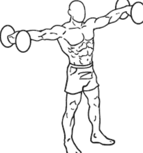 Best dumbbell exercises