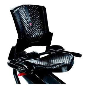 Schwinn 230 Recumbent Bike Reviews