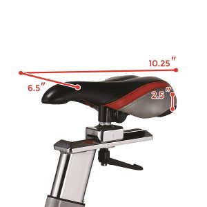 Sunny Health & Fitness SF-B1110 Indoor Cycling Bike Review