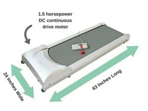 Rebel Treadmill 1000 Review