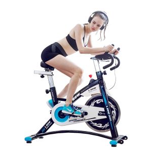 L NOW Indoor Cycling Bike Smooth Belt Driven (Model D600) Review