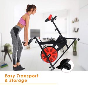 ANCHEER Indoor Belt Drive Cycling Bikes with 40LBS Flywheel (Model: ANCHEER-A5001) Review