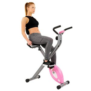 Sunny Health & Fitness Magnetic Folding Recumbent Bike SF-BR1117 Revie