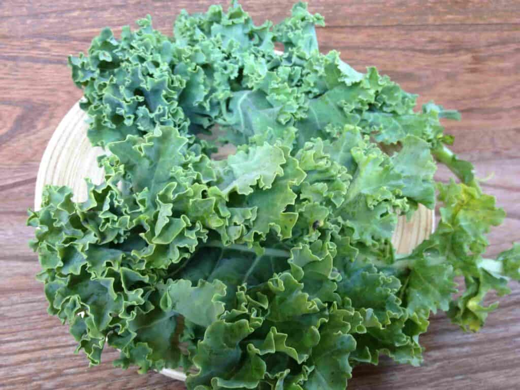 How To Lose Weight Fast With Healthy Eating