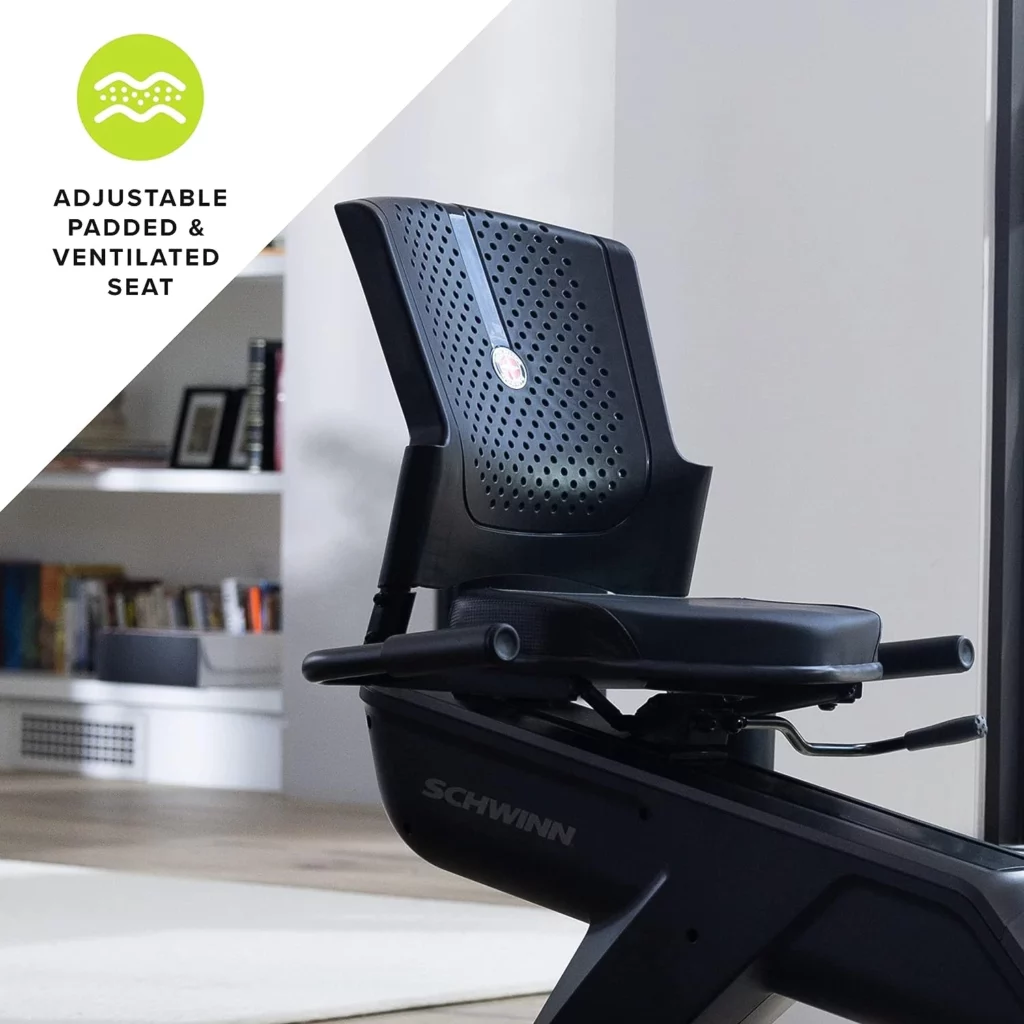 The seat of the Schwinn 290 Recumbent Bike