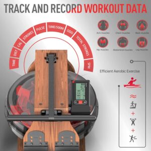 The console of the Joroto MR280 Water Rowing Machine