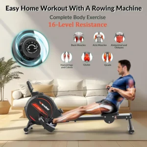 A man exercises on the Wenoker Magnetic Rowing Machine while  several muscle groups are shown